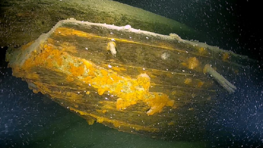 O projeto evidencia que o Lago de Constança mantém potencial para novas descobertas