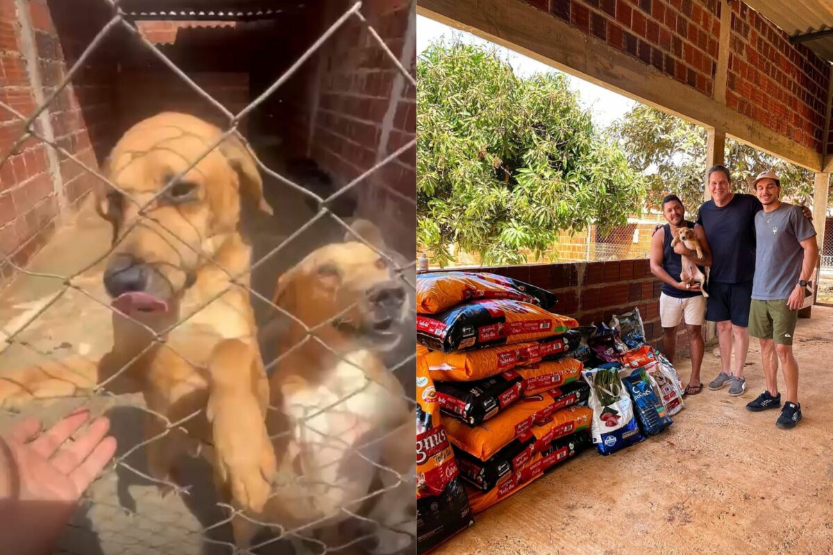 Veterinário pede ração de aniversário e doa meia tonelada para abrigo que resgata bichinhos O médico veterinário Leonardo Barreto, de Brasília, arrecadou e doou para um abrigo de animais 530 kg de ração que ganhou de presente de aniversário. - Fotos: @leo.vet / Instagram
