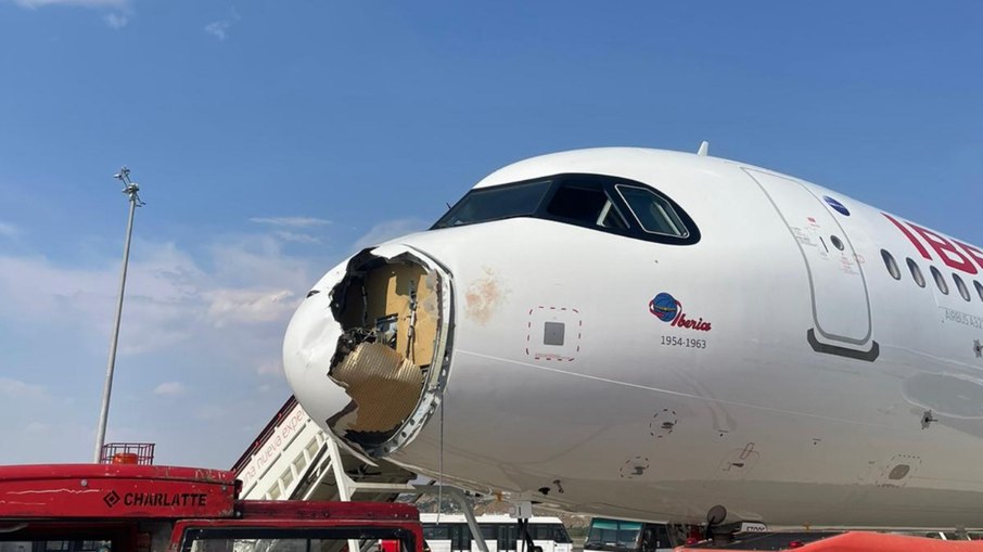 Um acidente com ave faz avião retornar