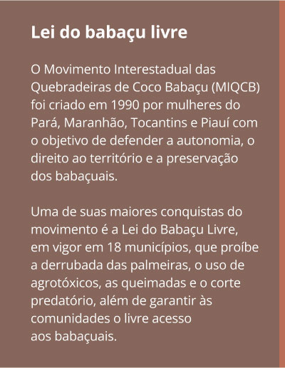 Lei do babaçu livre