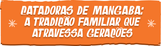 Catadoras de mangaba: a tradição familiar que atravessa gerações
