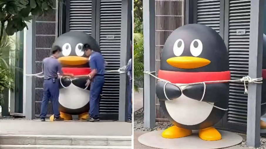 Pinguim ganha cinto de segurança contra vendavais