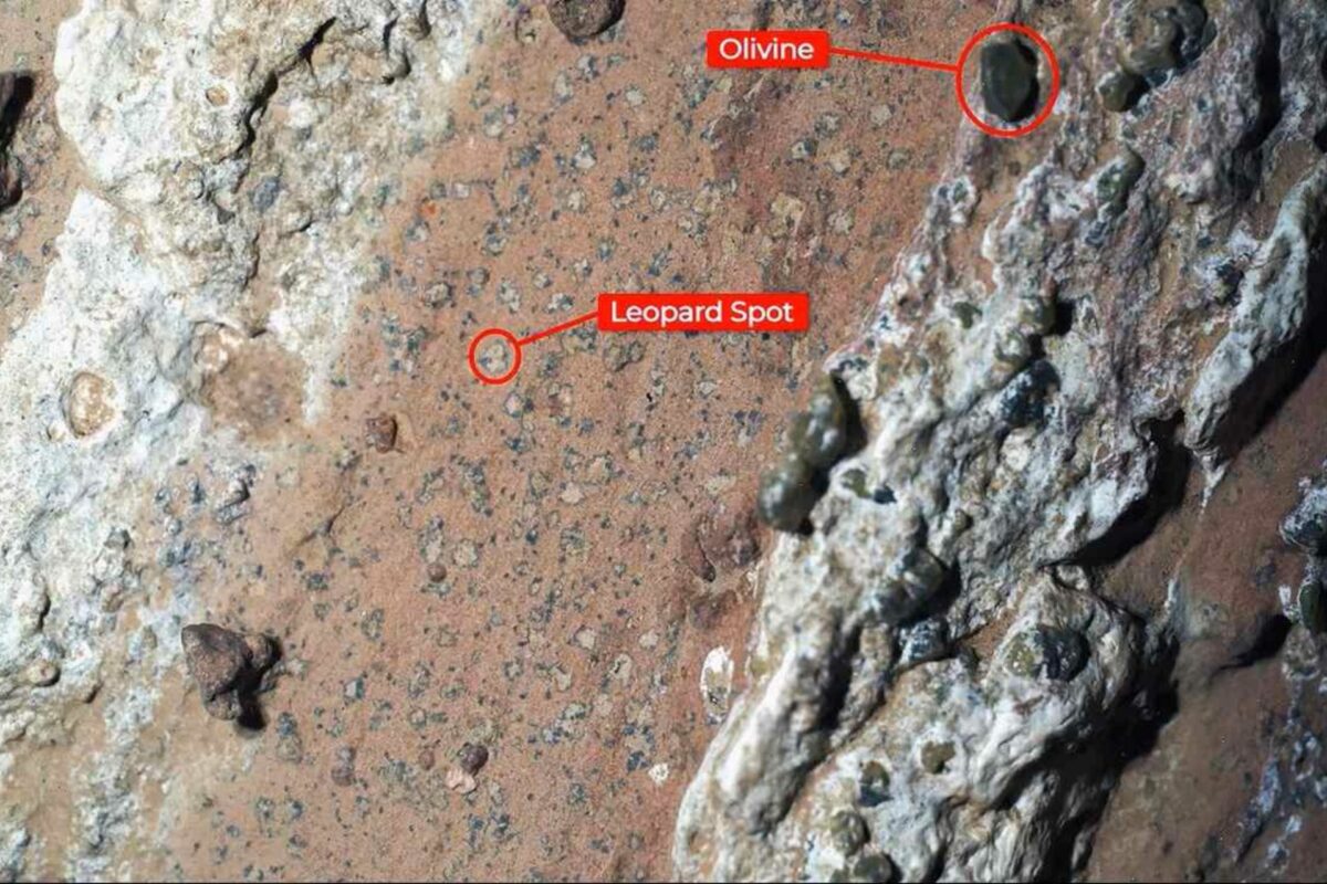 NASA descobre vida em Marte e cientistas comemoram NASA e a vida em Marte: a chamada “mancha de leopardo” marca um mineral conhecido na Terra por sua produção por micróbios – Foto: NASA / JPL-Caltech / MSSS