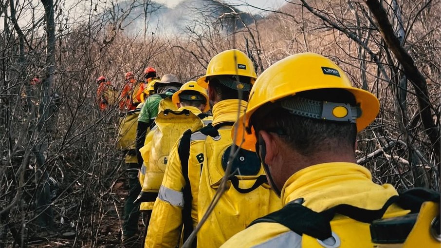 Ação integrada no combate ao incêndio florestal na Serra do Cruzeiro, em São José do Bonfim.