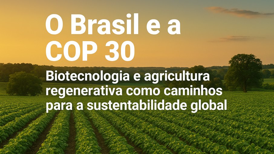 O Brasil e a Cop 30