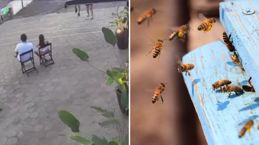 Abelhas atacam público durante desfile de aniversário em Ilha Solteira Abelhas atacam público durante desfile de aniversário em Ilha Solteira