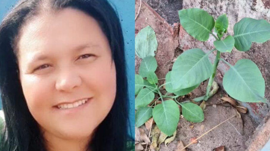 Mulher que comeu falsa couve morre em MG