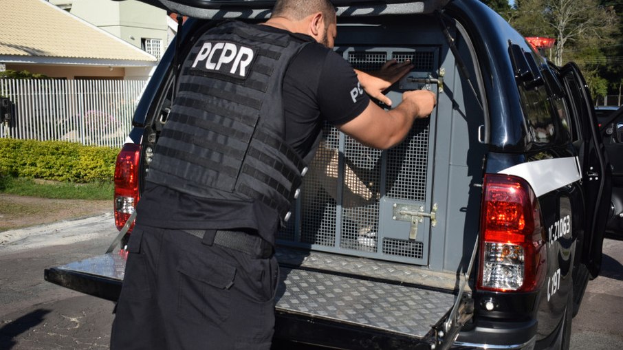 PCPR e PCSP prendem homem investigado por estelionato sentimental em São Paulo
