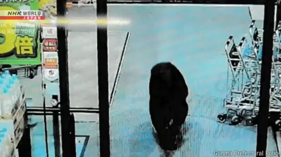 Urso dentro do supermercado na cidade de Numata, província de Gunma, no Japão Urso dentro do supermercado na cidade de Numata, província de Gunma, no Japão