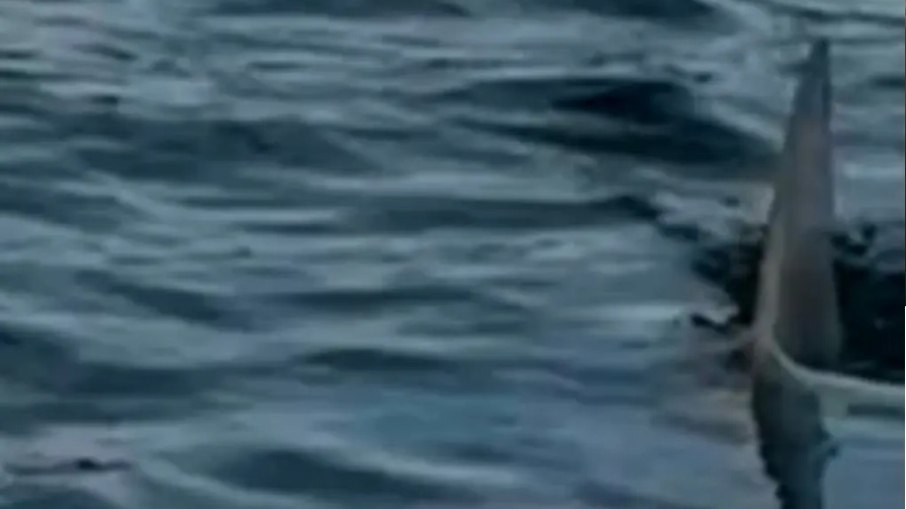 A vítima, natural de Medellín, passava férias escolares com a família quando o ataque aconteceu