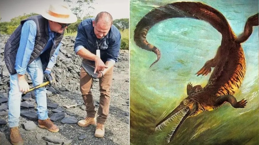 Obra da PR-364 é suspensa após achado de fósseis raros no Paraná