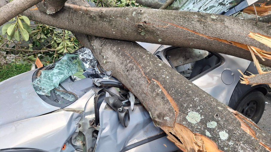 Veículo atingido por árvore na capital: vítima grave Veículo atingido por árvore na capital: vítima grave