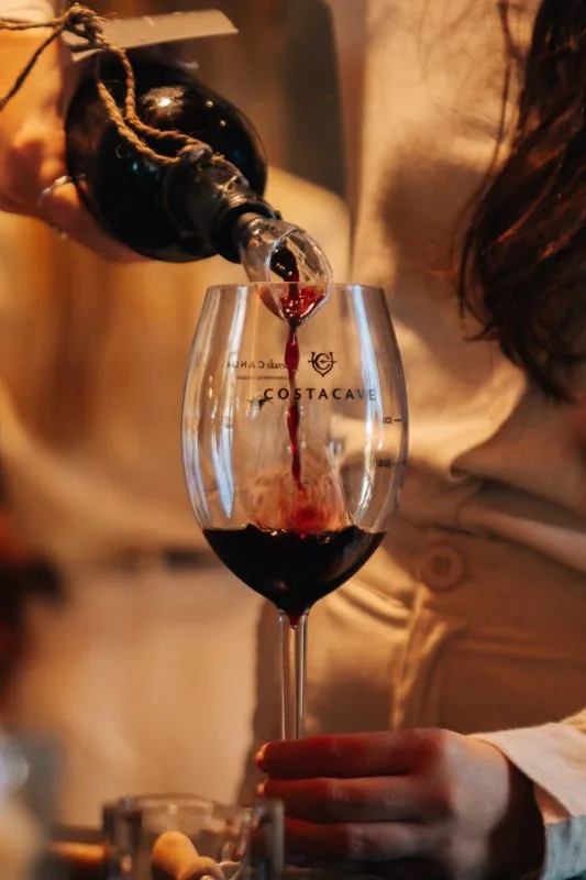 Fazenda Canoa: como é o primeiro condomínio vinícola do Brasil Central 3 | Brazil Economy •Os vinhos da CostaCave são produzidos a partir de vinhedos integrados ao empreendimento