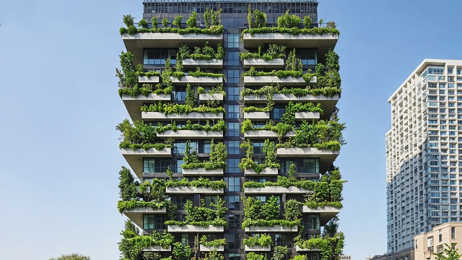 Plantas junto do concreto do pr&eacute;dio