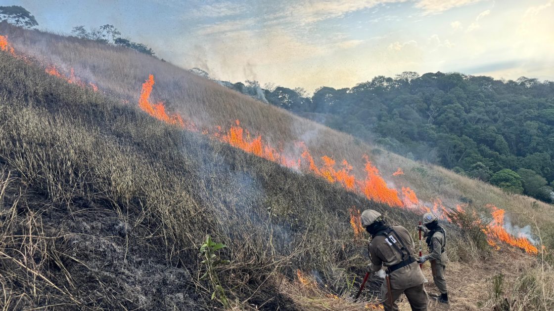 El Niño coloca o Estado do Rio em alerta para calor extremo e incêndios florestais