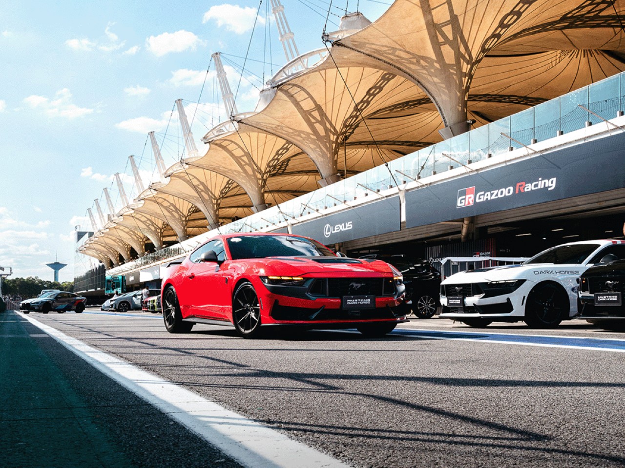 Festival Interlagos 2026 teve 36 lançamentos de carros e 15,2 mil testes feitos pelo público Festival Interlagos 2026 teve 36 lançamentos de carros e 15,2 mil testes feitos pelo público
