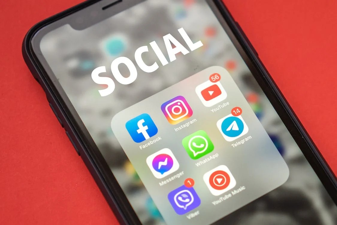 Facebook, TikTok e até Shopee: tráfico de animais e plantas ganha escala nas plataformas digitais