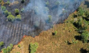 ‘Mudanças climáticas’ ou ‘mudança climática’? Por que a diferença entre singular e plural faz diferença