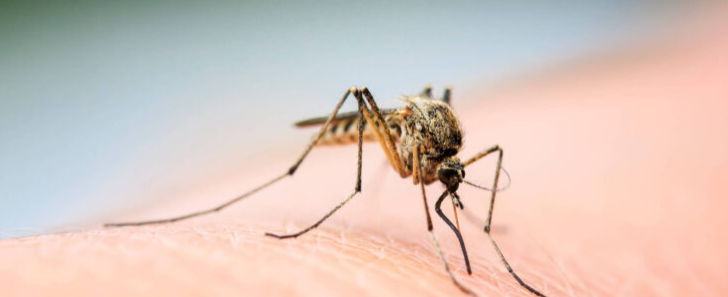 Mudanças climáticas já causam aumento de doenças infecciosas no país Mudanças climáticas já causam aumento de doenças infecciosas no país